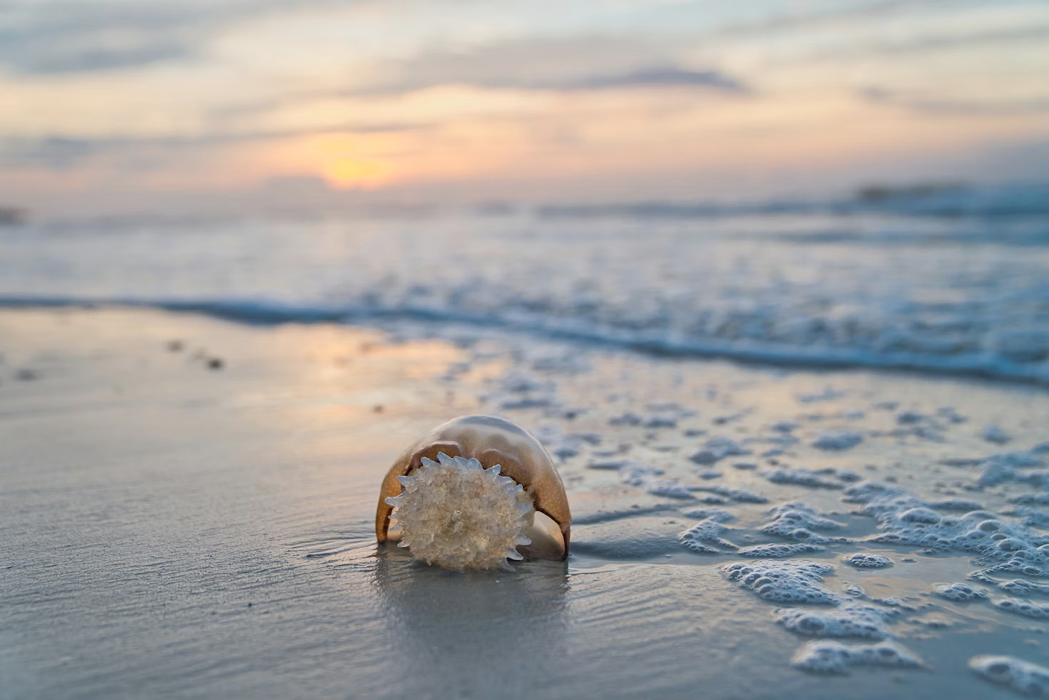 The Extraordinary Ordinary